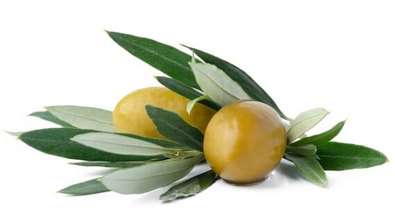 Oxidized and olive-containing leaf extract